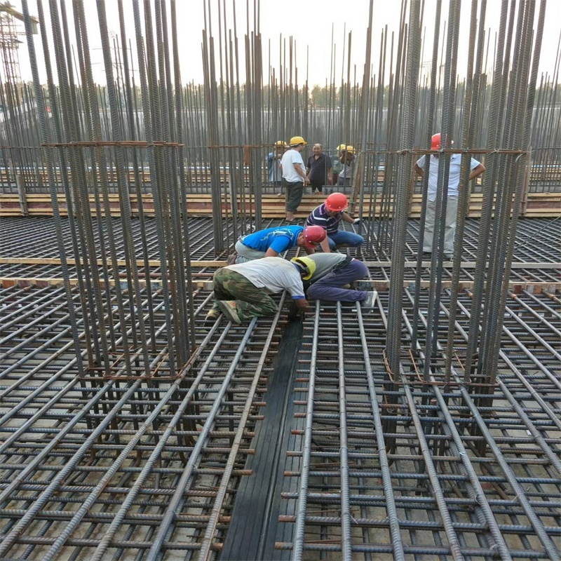 橡胶止水带案例